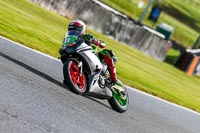 Oulton-Park-14th-March-2020;PJ-Motorsport-Photography-2020;anglesey;brands-hatch;cadwell-park;croft;donington-park;enduro-digital-images;event-digital-images;eventdigitalimages;mallory;no-limits;oulton-park;peter-wileman-photography;racing-digital-images;silverstone;snetterton;trackday-digital-images;trackday-photos;vmcc-banbury-run;welsh-2-day-enduro